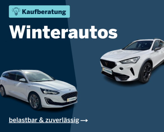 Kaufberatung-winterauto Kaufberatung Winterautos